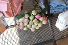 Poppy-flowers-allestimenti-negozio-03